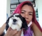 Rencontre Femme Thaïlande à Si Sa Ket : Su, 34 ans